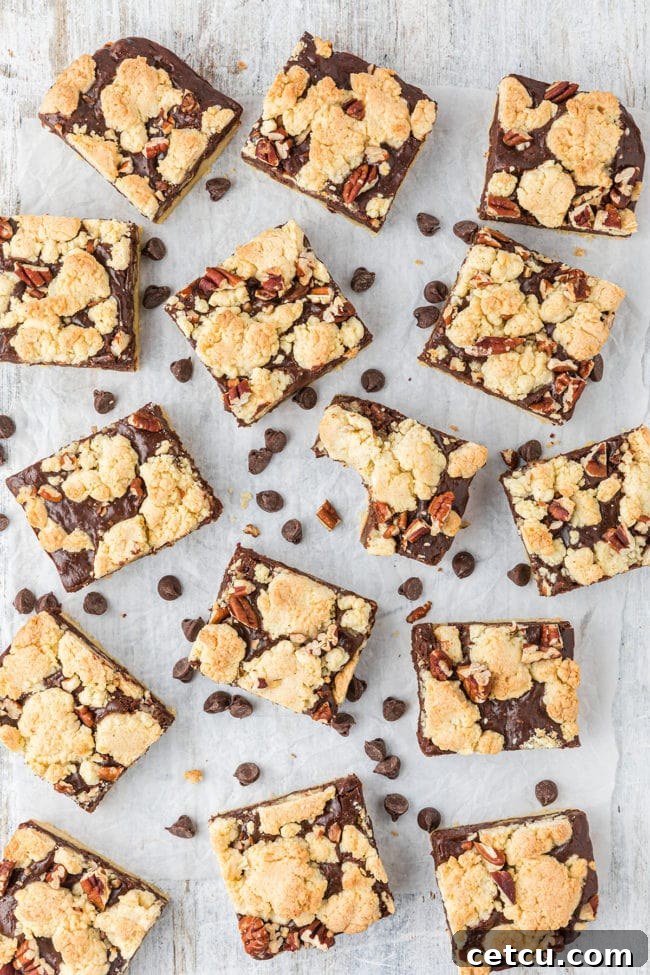 Overhead shot of freshly cut fudge nut cookie bars
