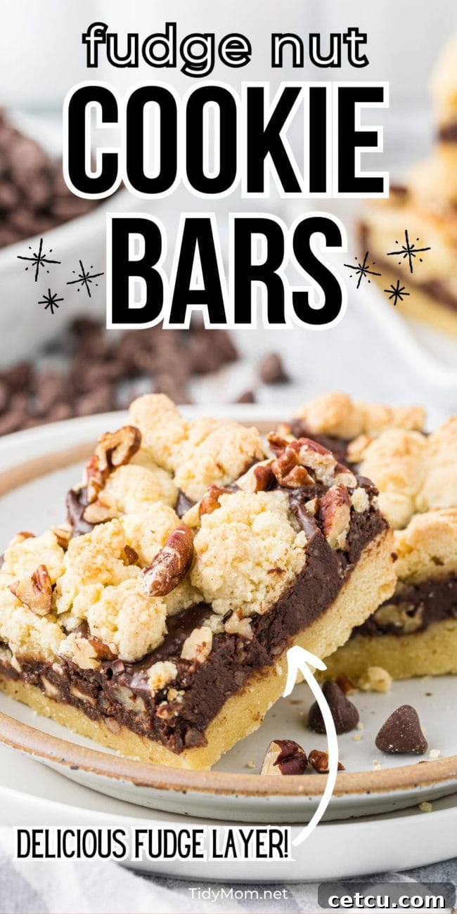 Delicious fudge nut cookie bars presented on a white plate