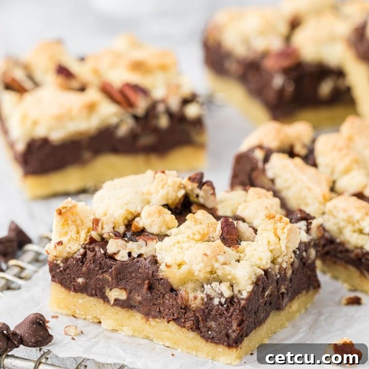 Fudgy chocolate nut cookie bars with three layers