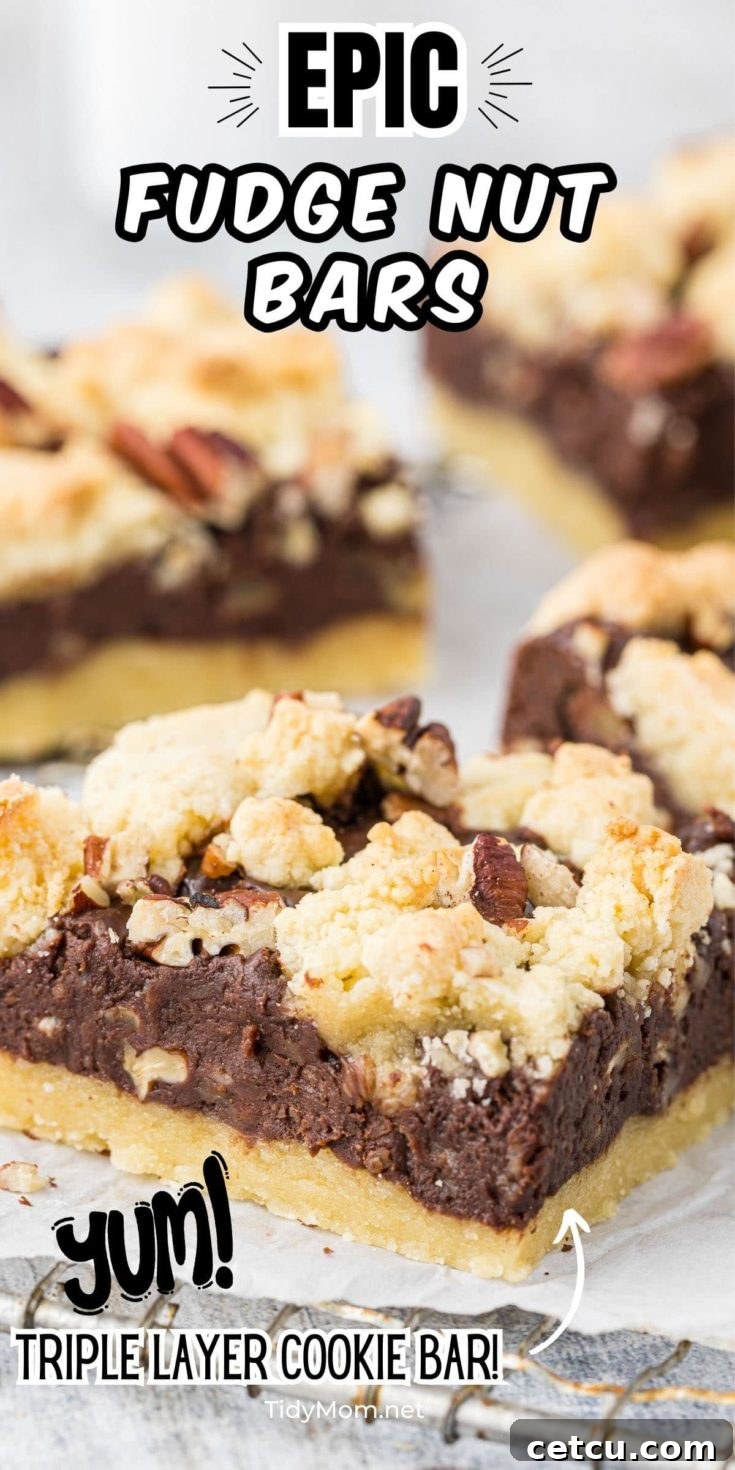 Fudge Nut Bars! Three layers of chocolate fudge between cookie layers.