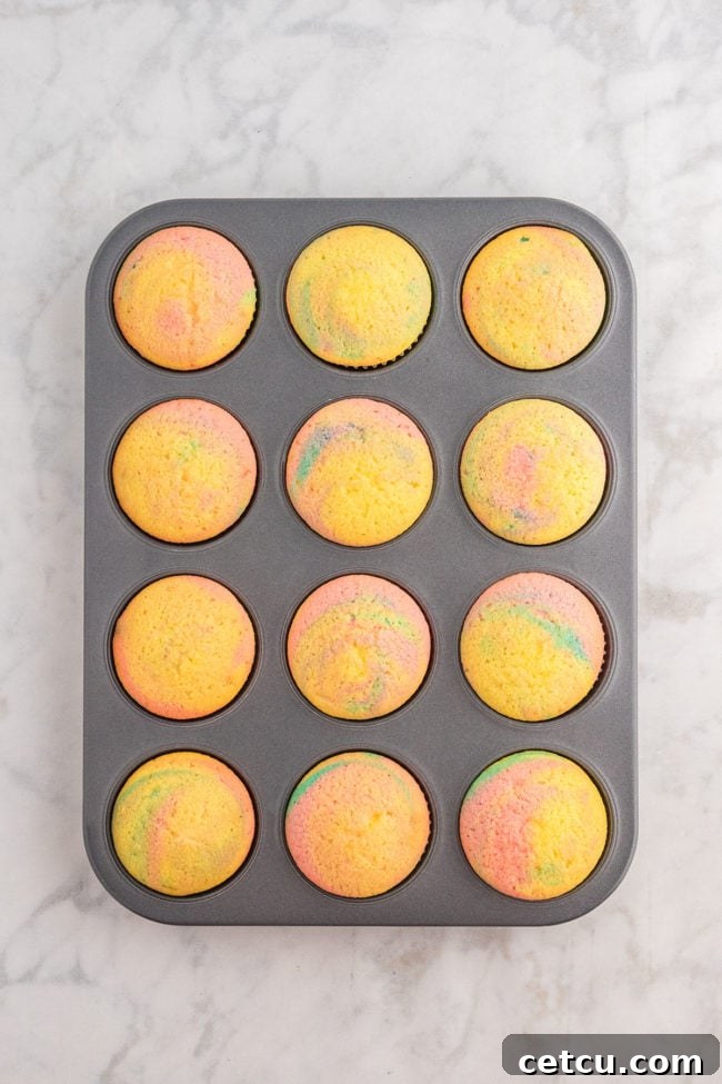 Freshly baked marble cupcakes with perfect domes, still in the cupcake pan, cooling after coming out of the oven.