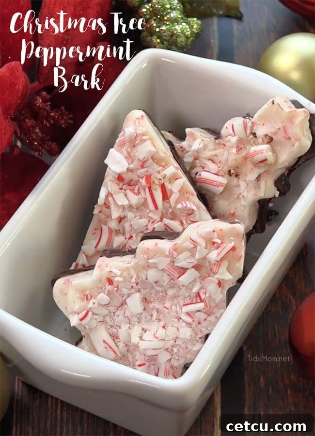 Frosted Forest Peppermint Bark 2 Beautifully shaped Christmas Tree Peppermint Bark, a festive and easy-to-make holiday treat perfect for gifting. Shows a mix of white and dark chocolate with crushed candy canes.