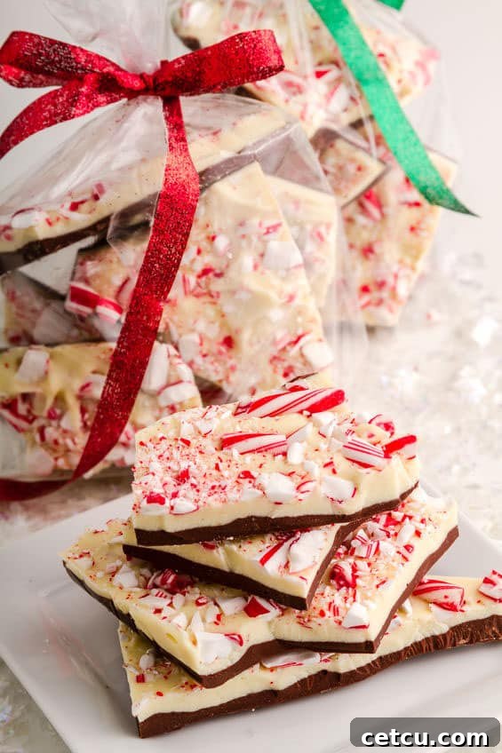 Holiday Chocolate Peppermint Bark is easy, delicious and makes a great holiday gift. Easy recipe for Christmas, Valentines Day, or any day at TidyMom.net via @tidymom Holiday Chocolate Peppermint Bark in bags