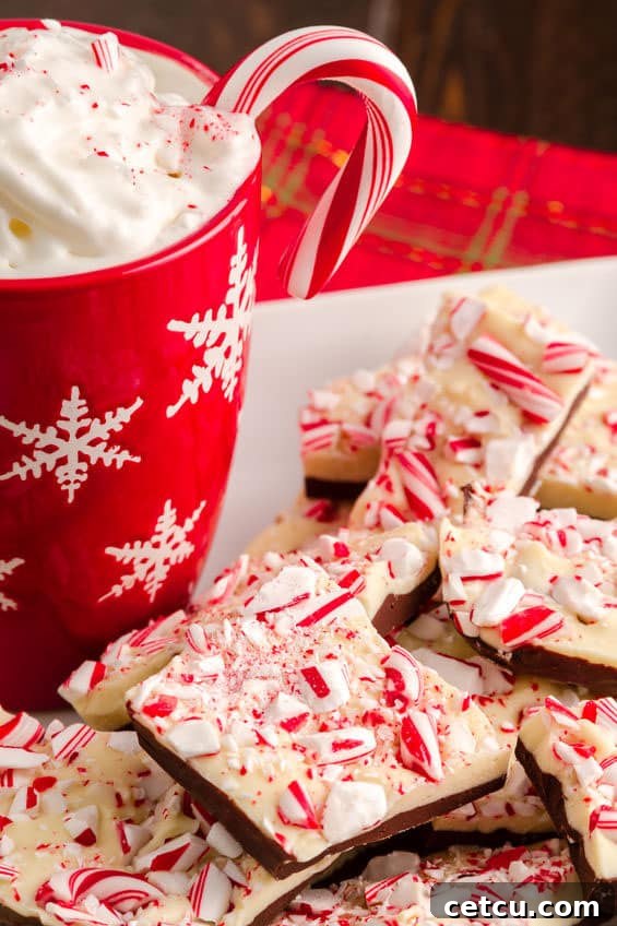 Chocolate Peppermint Bark is an easy delicious no-bake sweet treat that is perfect for gifting. Decadent layers of rich dark and white chocolate with a touch of peppermint and topped with crushed candy canes. Holiday Chocolate Peppermint Bark with mug