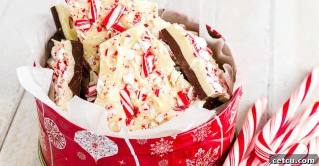 Chocolate Peppermint Bark is an easy delicious no-bake sweet treat that is perfect for gifting. Decadent layers of rich dark and white chocolate with a touch of peppermint and topped with crushed candy canes. peppermint bark in tin with candy canes