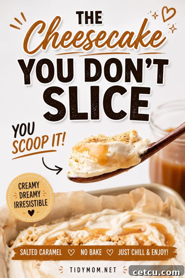 Scoopable Salted Caramel Cheesecake Recipe 13 scoopable cheese cake in a spoon over a pan of salted caramel dessert