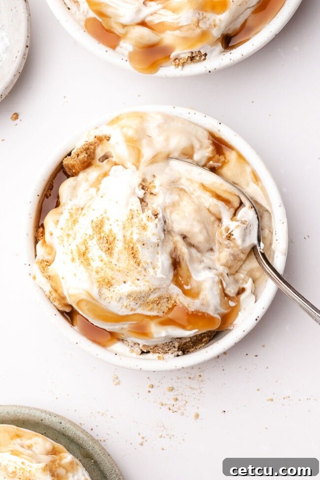 Scoopable Salted Caramel Cheesecake Recipe 10 Overhead view of salted caramel scoopable cheesecake served in a dessert bowl