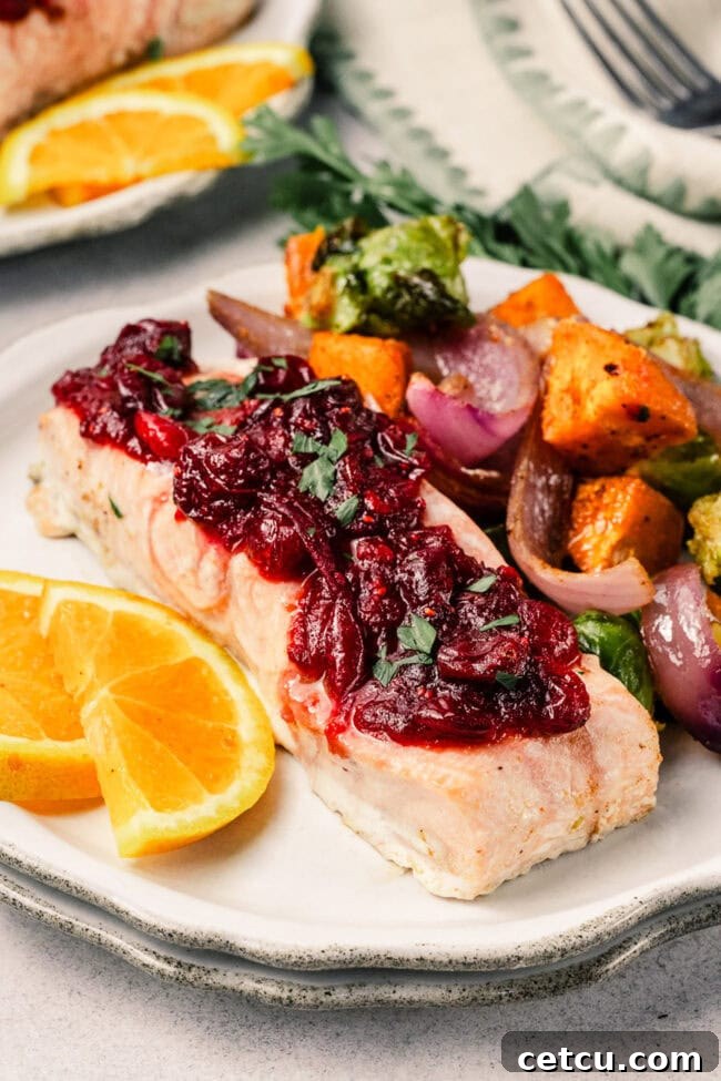 Cranberry Orange Glazed Salmon Recipe with Citrus Sauce 2 Plated cranberry orange glazed salmon with roasted vegetables and fresh orange slices.