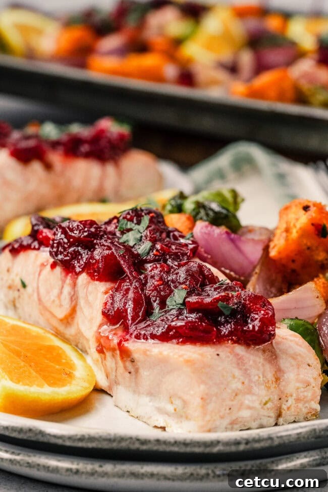 Cranberry Orange Glazed Salmon Recipe with Citrus Sauce 9 Plated cranberry glazed salmon with roasted sweet potatoes, Brussels sprouts, and red onion.